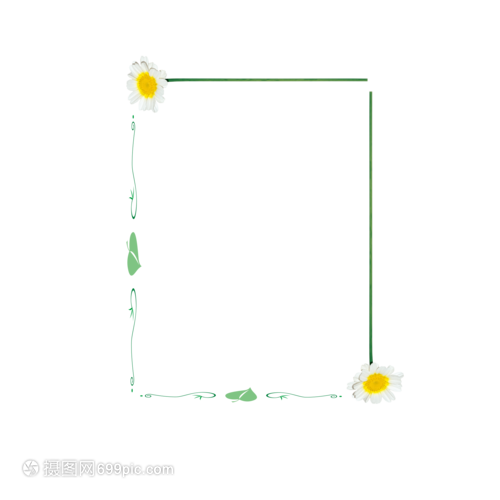 菊韻相框 秋日印記的藝術(shù)珍藏