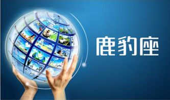 網(wǎng)絡(luò)營銷策劃 信息網(wǎng)絡(luò)經(jīng)營游戲產(chǎn)品的多元化方法與實戰(zhàn)策略